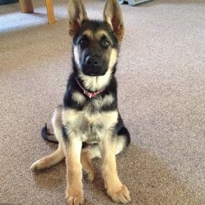 Meet your Posher, Jack